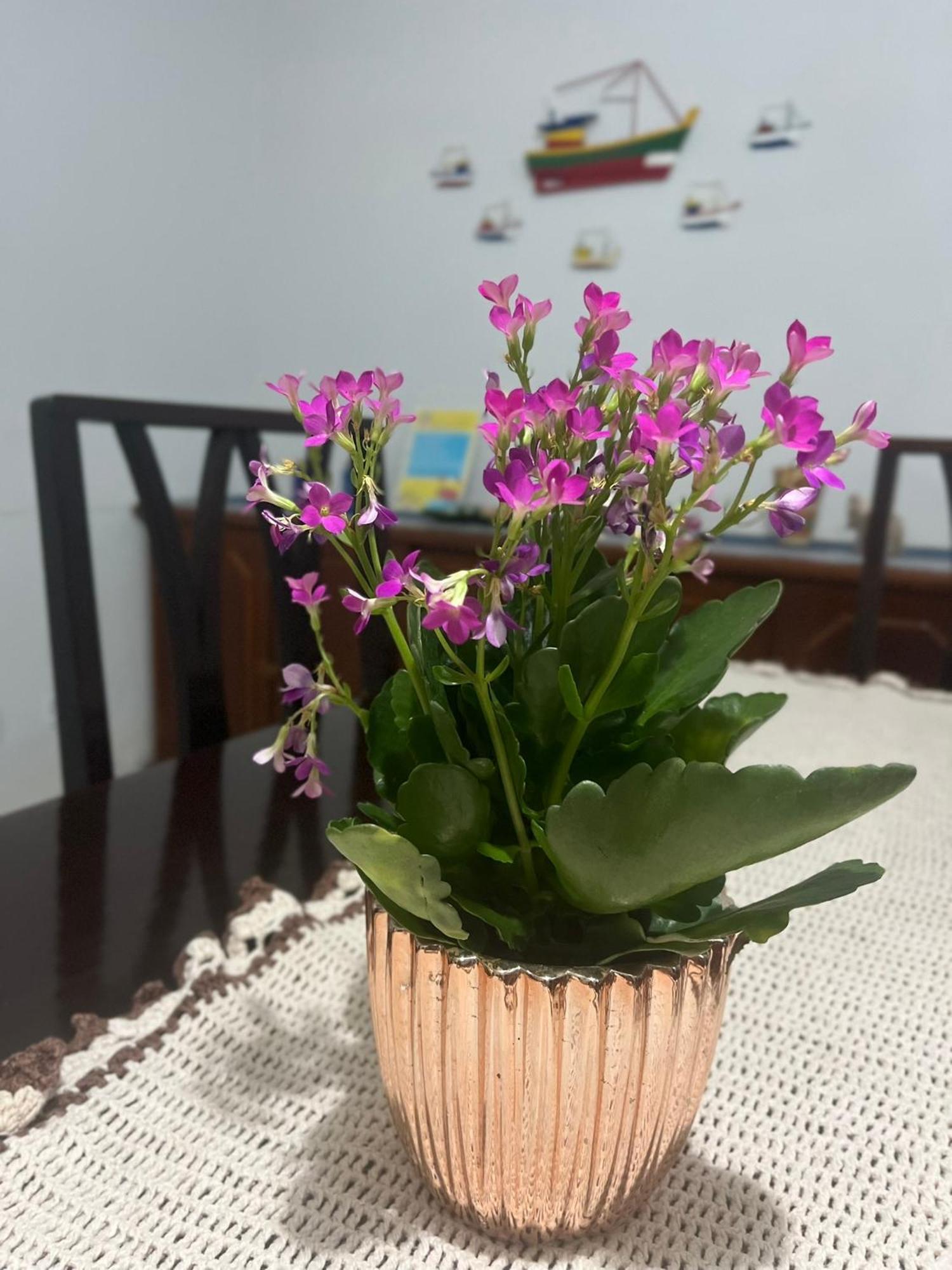 Casa De Praia Caraguatatuba Massaguacu 외부 사진